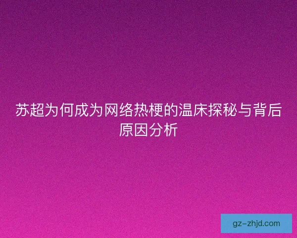 苏超为何成为网络热梗的温床探秘与背后原因分析