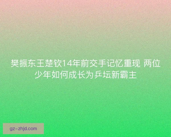 樊振东王楚钦14年前交手记忆重现 两位少年如何成长为乒坛新霸主